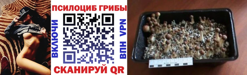 Псилоцибиновые грибы Magic Shrooms  Верхоянск 